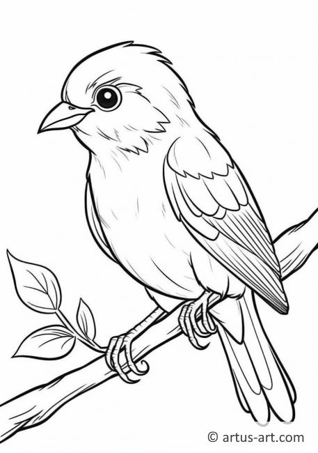 Tanager Coloring Page